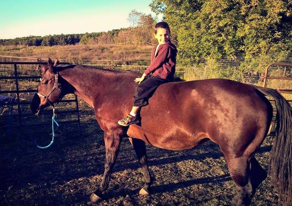 Equine Therapy