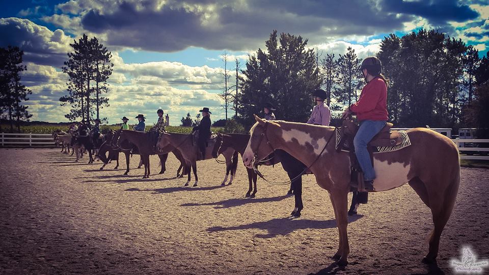 Heartland show horses