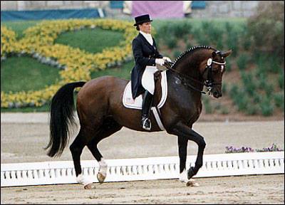 Heartland Equestrian Center