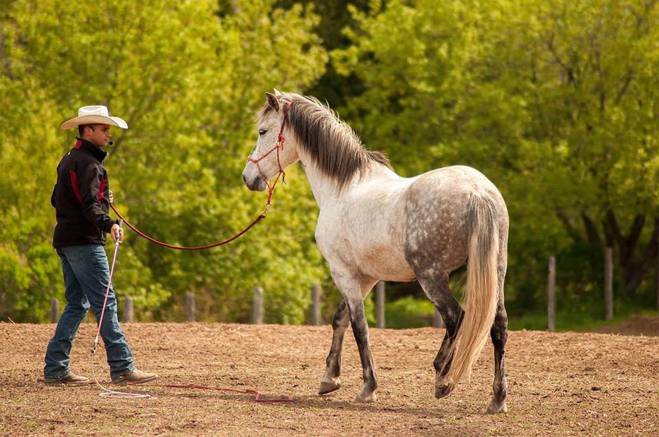 Heartland events