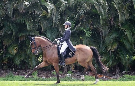 Heartland Equestrian Center