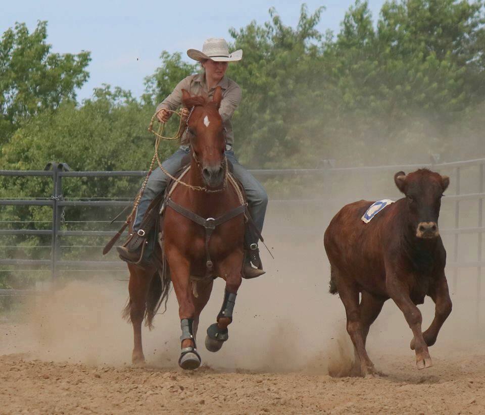 Heartland equestrian